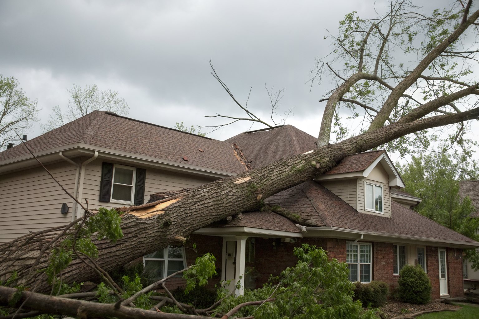 A broken tree trunk lying across the shingle roof of a two-story brick house after a storm