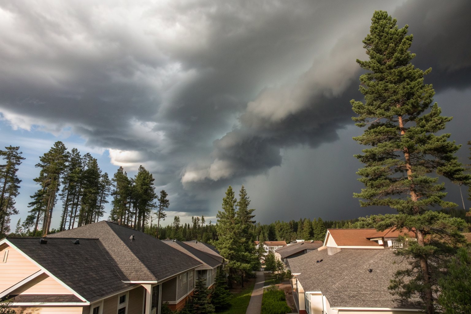 Dark storm clouds building over suburban shingle rooftops and tall pine trees